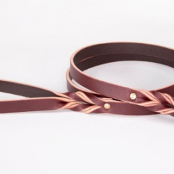 Braided Leather Leash
