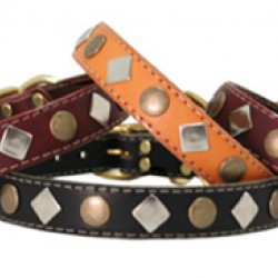 Heirloom Studded