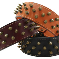 Heirloom Spiked Collar