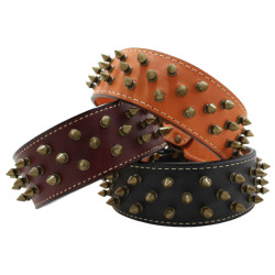 Heirloom Spiked Collar