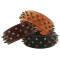Heirloom Spiked Collar