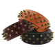 Heirloom Spiked Collar