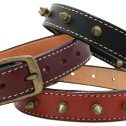 Heirloom Spiked Collar