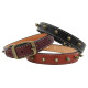 Heirloom Spiked Collar