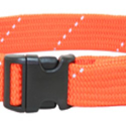 Reflective Web Collar