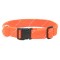 Reflective Web Collar