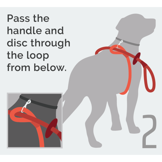 Reflective Combo Lead