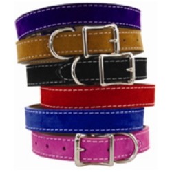 Saratoga Suede Collar & Leash
