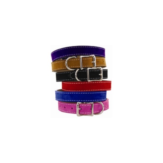 Saratoga Suede Collar & Leash