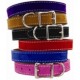 Saratoga Suede Collar & Leash