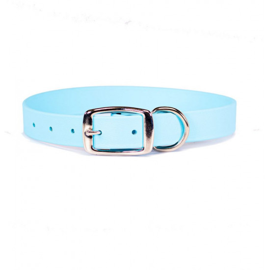 Sparky's Choice Standard Buckle Collars & Leash
