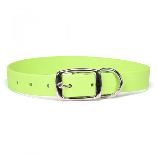 Sparky's Choice Standard Buckle Collars & Leash