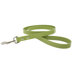 Town Collar & Leash