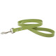 Town Collar & Leash