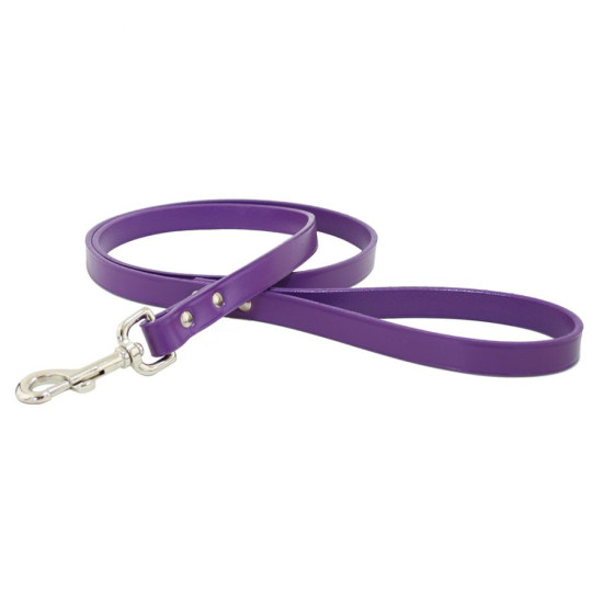 Town Collar & Leash