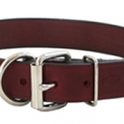 Tuff Stuff Collar
