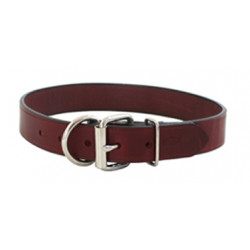 Tuff Stuff Collar