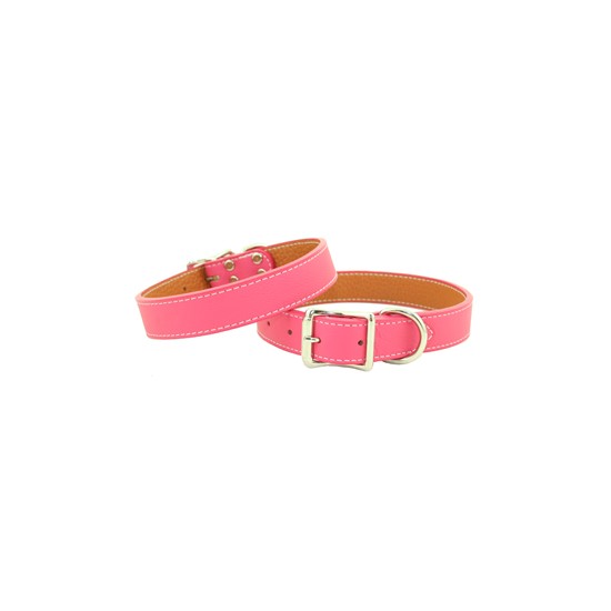 Tuscan Collar & Leash