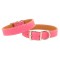 Tuscan Collar & Leash