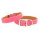 Tuscan Collar & Leash