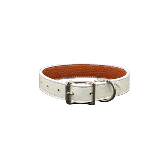 Tuscan Collar & Leash