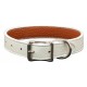 Tuscan Collar & Leash