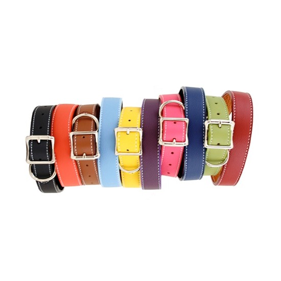 Tuscan Collar & Leash