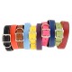 Tuscan Collar & Leash