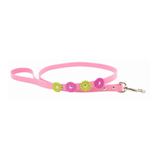 Flower Collar & Leash