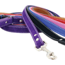 Saratoga Suede Collar & Leash