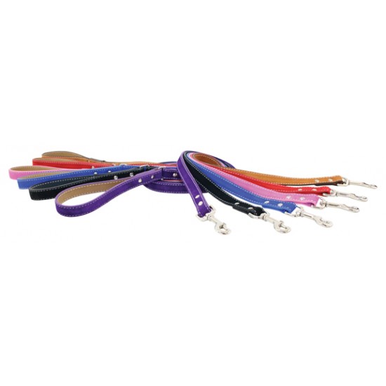 Saratoga Suede Collar & Leash