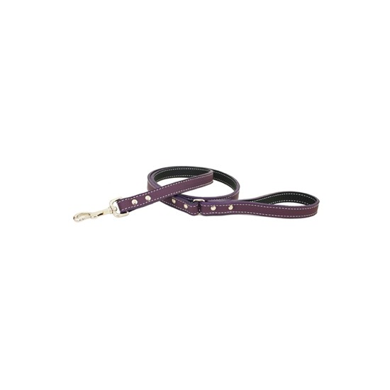 Tuscan Collar & Leash