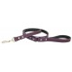 Tuscan Collar & Leash