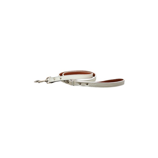 Tuscan Collar & Leash