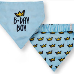 Bandanas - Reversible