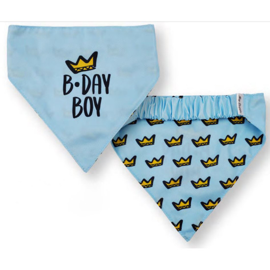 Bandanas - Reversible