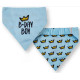 Bandanas - Reversible