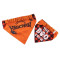 Bandanas - Halloween Reversible