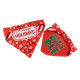 Bandanas - Christmas Reversible
