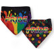 Bandanas - Reversible