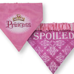 Bandanas - Reversible
