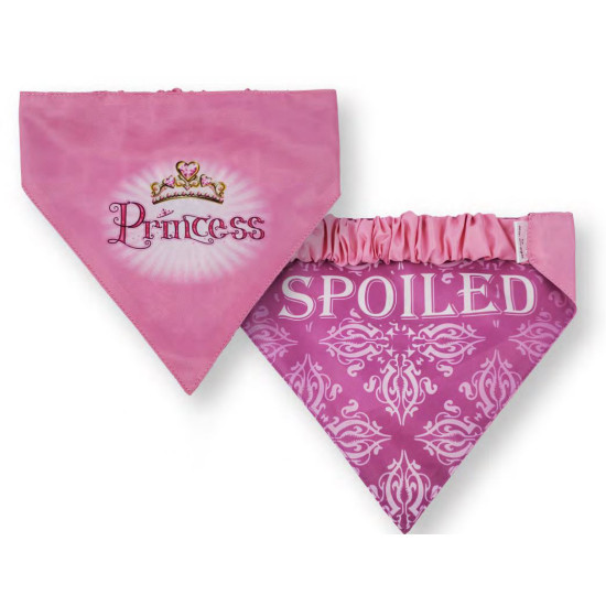 Bandanas - Reversible