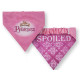 Bandanas - Reversible