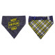 Bandanas - Reversible