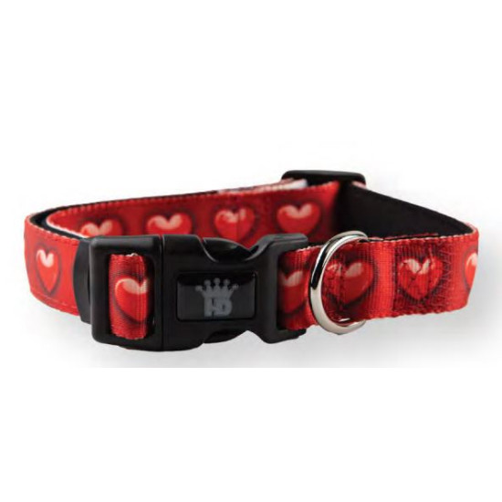 Collars and Leads - Designs