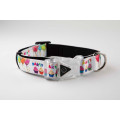 Collars, Leads, Bandanas