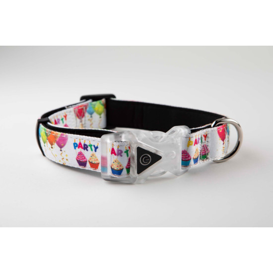 Collars and Leads - Designs
