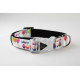 Collars and Leads - Designs