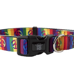 Collars and Leads - Designs