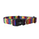 Collars and Leads - Designs
